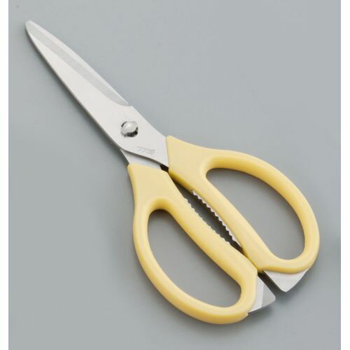 ��ƣ���� TKG ���å���Х���(���ƥ�쥹) �������� BHS2904