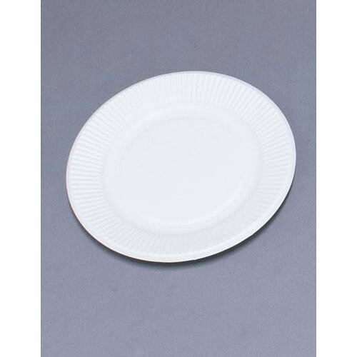 ペーパーウェア スタンダードプレート(100枚入) No.6 181921 GST1602