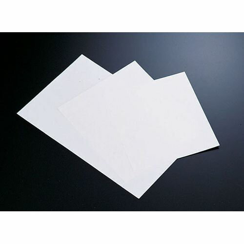 Kitchen Paper - 遠藤商事 SA吸水シート(250枚入) L XSV23001【送料無料】