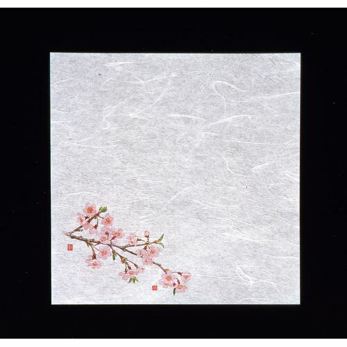 ヤマコー 新・濡れ奉書紙(100枚入) 桜 QHU11