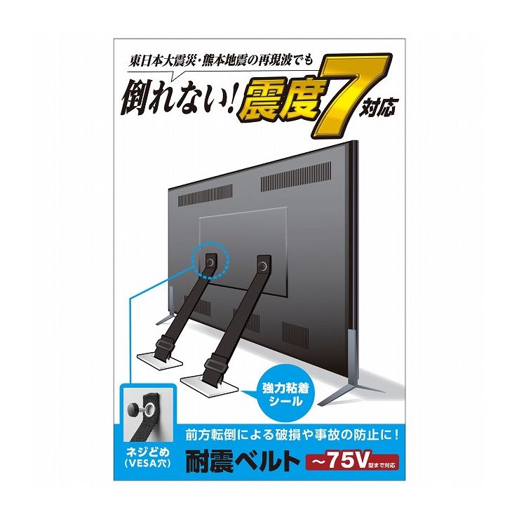 エレコム 耐震ベルト(ネジどめ) TS-006N(代引不可)【送料無料】