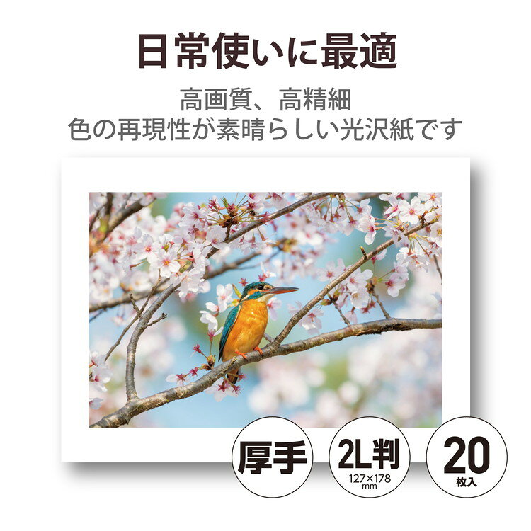 リコメン堂生活館のエレコム プリンター用紙 写真用紙 2L判 20枚 光沢 高グレード 厚手 写真プリント用紙 ホワイト(代引不可)【送料無料】｜アングル2