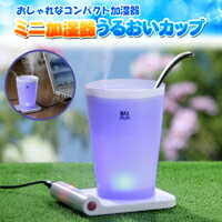 ミニ加湿器 うるおいカップ インテリアとしてもおしゃれなコンパクト加湿器【送料無料】