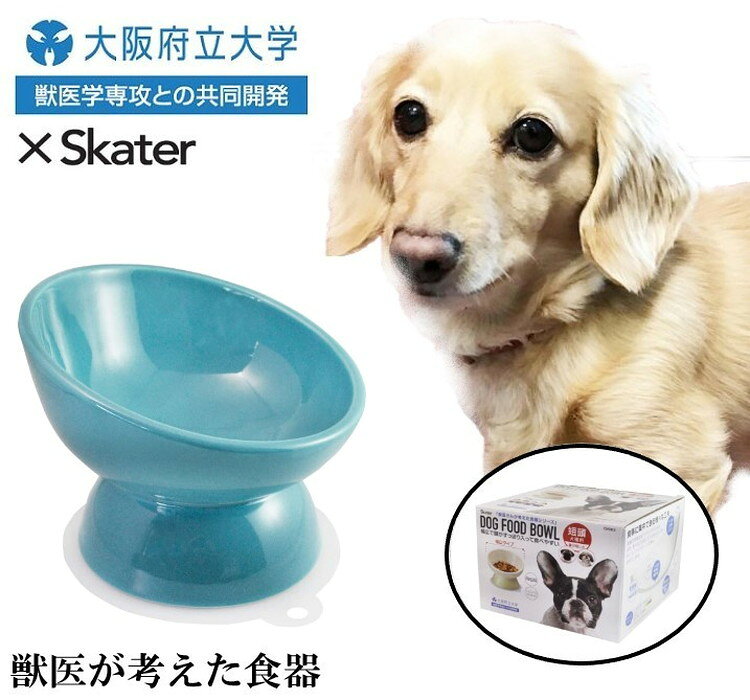 リコメン堂生活館のスケーター 短頭犬用 食器 陶磁器製 ペット餌入れ 幅広 マット付 ミント CHOB3 ペット 犬 猫 食器 餌 ごはん 餌箱 エサ入れ お皿 優しい 体 負担 軽減｜アングル2