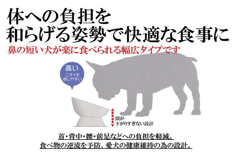 リコメン堂生活館のスケーター 短頭犬用 食器 陶磁器製 ペット餌入れ 幅広 マット付 ミント CHOB3 ペット 犬 猫 食器 餌 ごはん 餌箱 エサ入れ お皿 優しい 体 負担 軽減｜アングル3