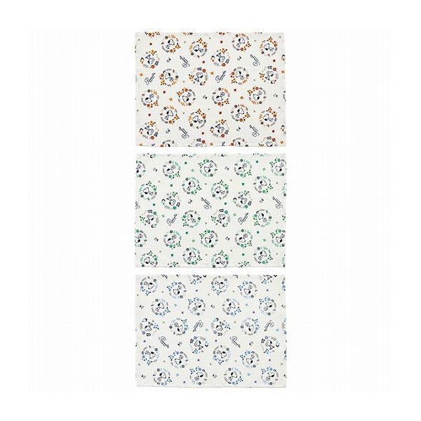 スケーター ワッフル生地 ふきん タオル キッチンクロス 3枚セット SNOOPY KFWC3 Skater