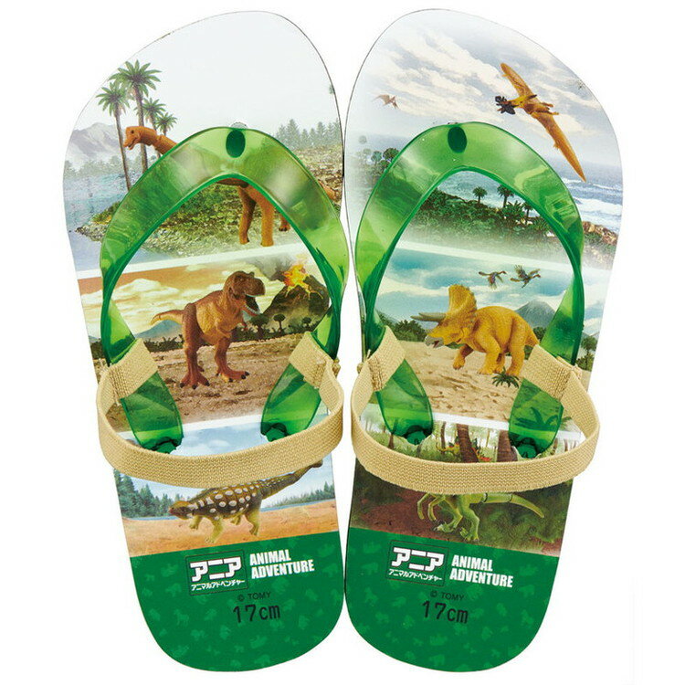 スケーター ビーチサ�