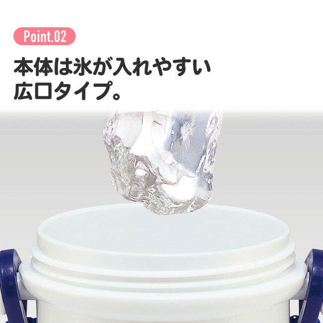 スケーター 銀イオン抗菌 食洗器対応 直飲み 水筒 プラボトル 480ml ジュラシック24 PSB5SANAG キャラクター かわいい 可愛い Skater 3