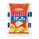 お菓子 デザイン カルビー ポテトチップス うすしお味 ベルト付き 保冷剤 アイシング 冷却 お菓子パッケージ CLBB1 かわいい スケーター skater