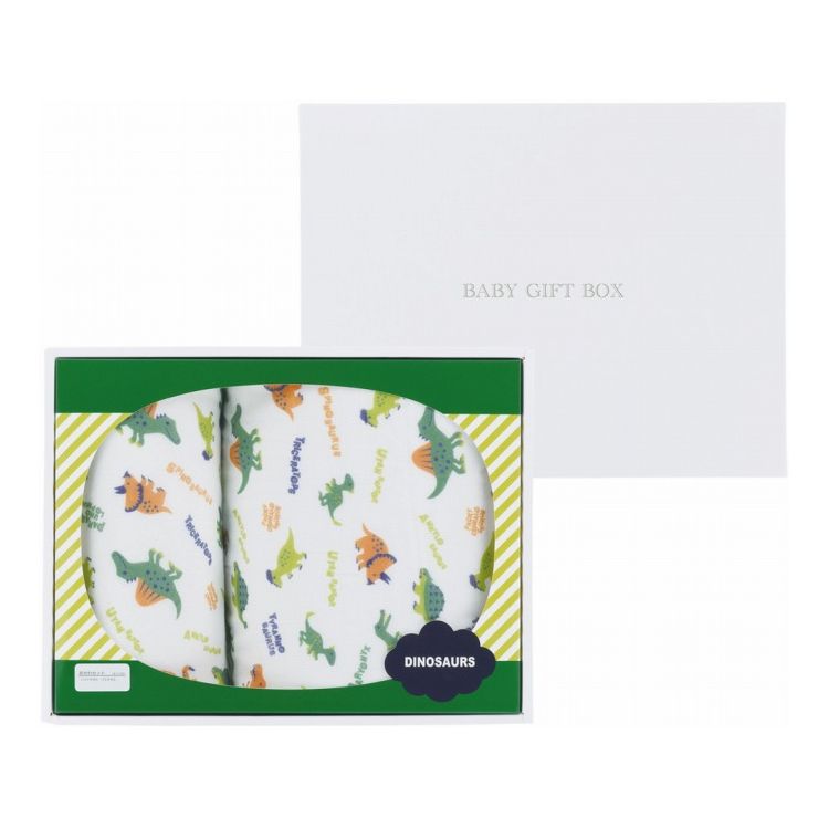 ディノサウルス ピクチャーブック ベビー お世話 セット 5000 ハンドタオル バスタオル SET1099 キャラクター スケーター skater【送料無料】