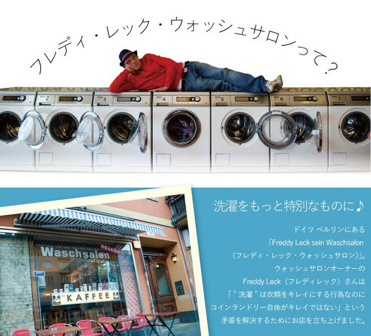 フレディレック カラーキャッチシート 40P ...の紹介画像3