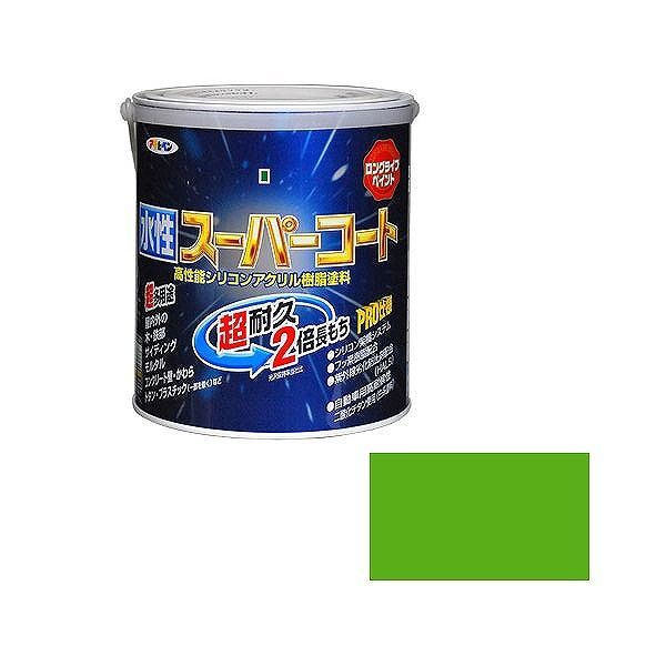 �����ҥڥ� AP ���������ѡ������� 1.6L ���𿧡�����̵����