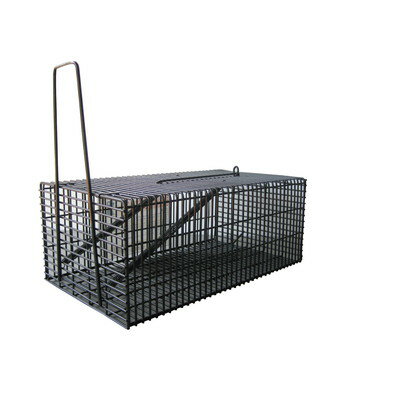 コンパル コンパル ブラック 角型ハウス L(代引不可)【送料無料】