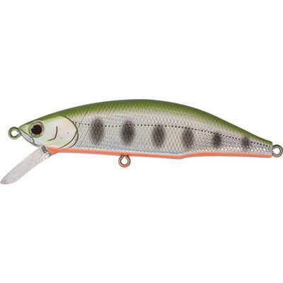 �W���N�\�� Jackson ���e�I�[�� 80 LYM ���}��(����s��)   