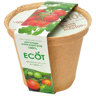 聖新陶芸 聖新 GD-41109 エコット M ミニトマト(代引不可)