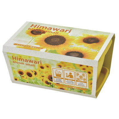 聖新陶芸 エンジョイプランターフラワー ミニヒマワリ GD-93201(代引不可)