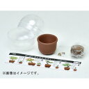 聖新陶芸 聖新 GD-954 育てるカプセル ミニ盆栽 4s(代引不可)