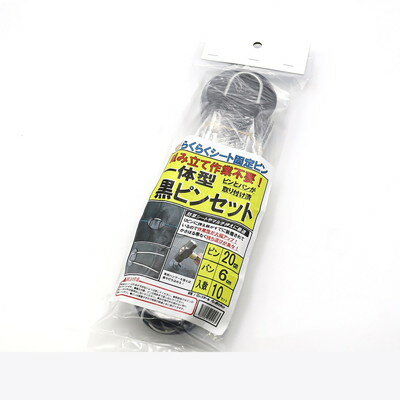 SN�����꡼�� ���η����ԥ󥻥å� 10P���å�(����Բ�)