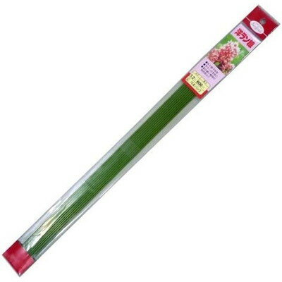 渡辺泰 渡辺泰 洋ランセン 10P 3.2x600 TWB(代引不可)