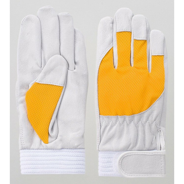 ٻΥ F-505  M ꡼ #5883(Բ)