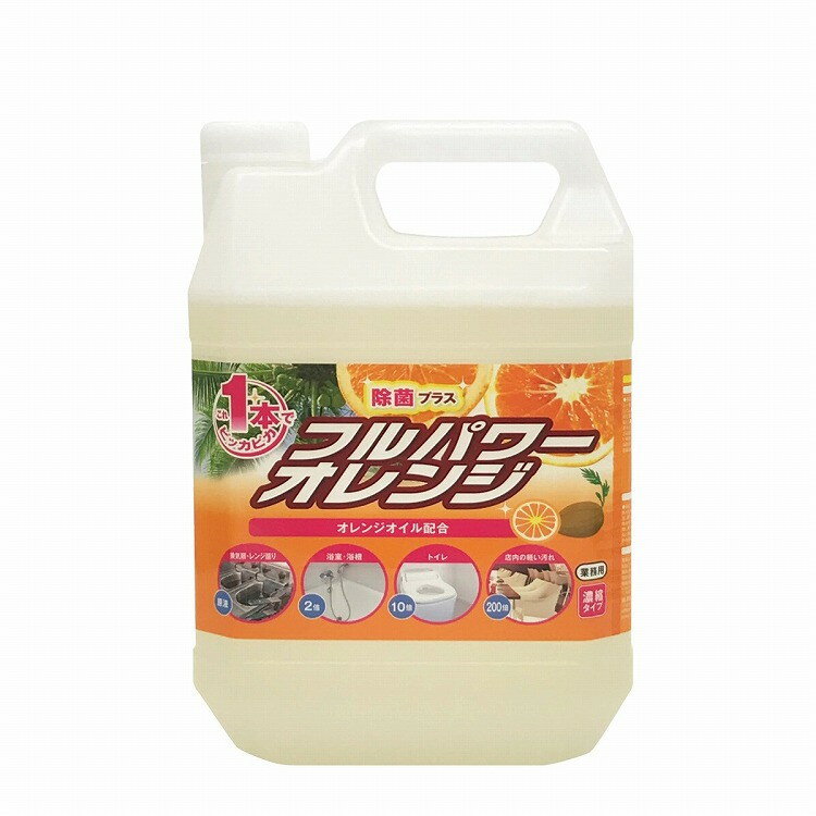 セッツ フルパワーオレンジ 4kg E-104(代引不可)【送料無料】