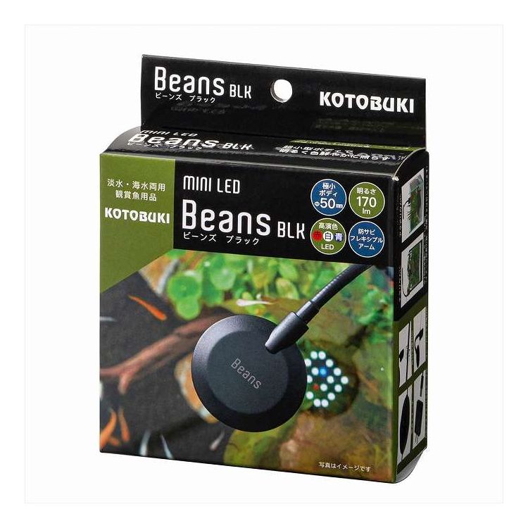 ミニLED ビーンズ ブラック 寿工芸(代引不可)【送料無料】