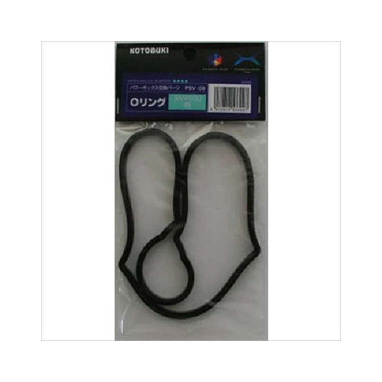 ●パワーボックス専用パーツ。【商品情報】●パワーボックスSV450X・SV4500用。●寸法(mm):W110×D10×H200【代引きについて】こちらの商品は、代引きでの出荷は受け付けておりません。【送料について】北海道、沖縄、離島は送料を頂きます。