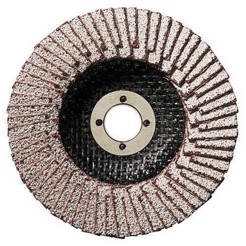 イチグチ BS 豪削ディスクアルミ用 100X15-60(代引不可)