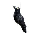 鳥追いカラス DIY 工具 住宅設備 動物避け用品 防鳥ネット 防鳥網 龍宝丸 K-904(代引不可)(4)