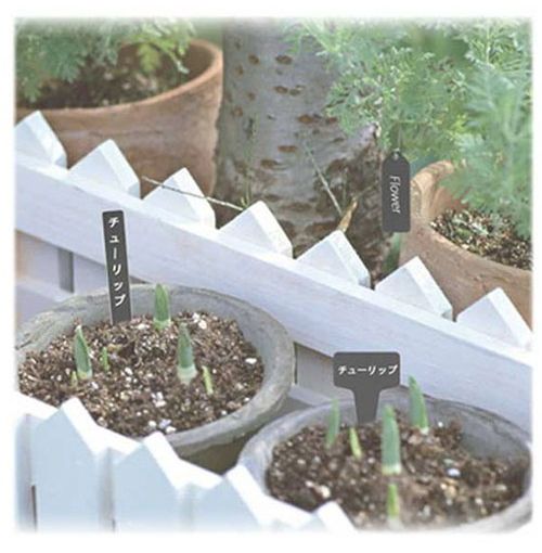 ���եƥ�-3 �����ǥ����٥� 10���� 10.5cm(����Բ�)