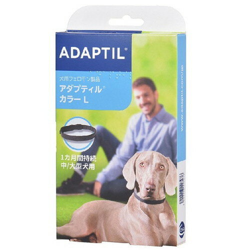 Хѥ ץƥ 顼  L̵