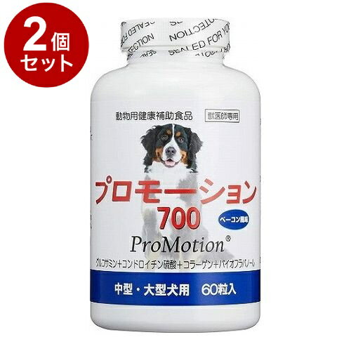 2ĥåȡ Ω ץ⡼700 桦緿 60γ̵