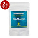 【2個セット】 共立製薬 マイトマックス・スーパー 小型犬・猫用 60カプセル【送料無料】