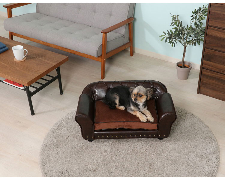 �ڥåȥ��ե� �����������ե�������� �Ӽ�곰����ǽ �����륷������ �ڥåȥ٥å� ������ �ʥ��ڡ��� ������� ���襤�� ����ץ� �ڥå��� ���� ǭ�� �ڥå����� �ڥåȥ��å�(����Բ�)������̵����