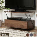 テレビ台 ワイヤーテレビラック 幅61cm ローボード 棚付き オープンラック ディスプレイ 収納 TV台 TVボード リビング ダイニング(代引不可)【送料無料】(3)