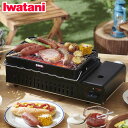 【送料無料】iwatani イワタニ 岩谷産業 カセットガス炉ばた焼器 炙りやII CB-ABR-2 海鮮 焼き鳥 ガスボンベ 七輪 網焼き 串焼き カセットコンロ アウトドア バーベキュー