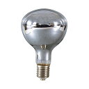 レフ交換球300W NRF-300 110V