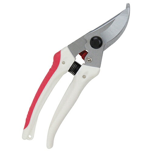 �����ǥ������� ���å� SGP-43 �����ǥ˥� ������� ������ ���ڤ� �Ϥ���