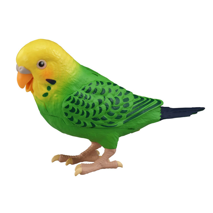タカラトミー ヒーリングパートナー 毎日おしゃべり天才インコちゃん(代引不可)【送料無料】のサムネイル