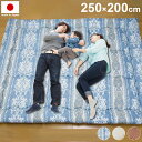 ファミリー敷布団 日本製 250×200cm カバー付き 防ダニ 抗菌 防臭 敷布団 吸汗 速乾 清潔 快適 大きい ボリューム感 布団 寝室 リビング ファミリー 大家族 マットレス 寝具(代引不可)【送料無料】(3)