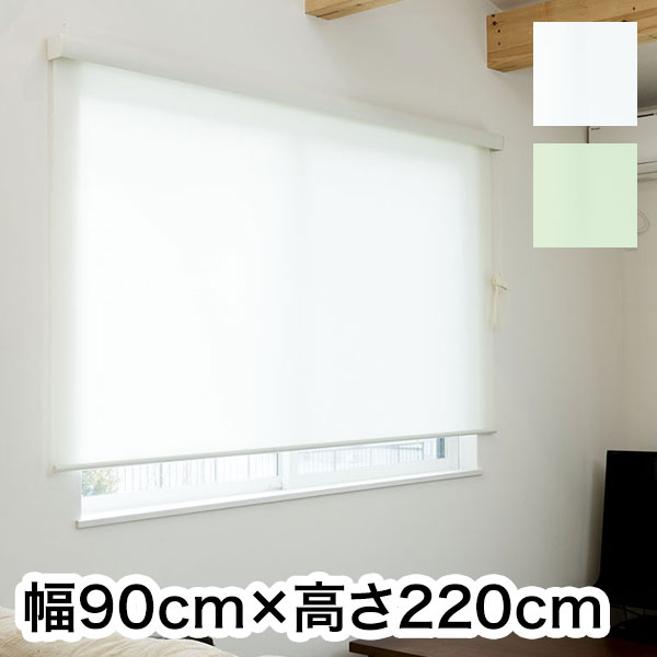 ロールスクリーン カバー付き 幅90cm×高さ220cm シンプル おしゃれ 北欧 オフィス マンション 間仕切り ロールカーテン(代引不可)【送料無料】