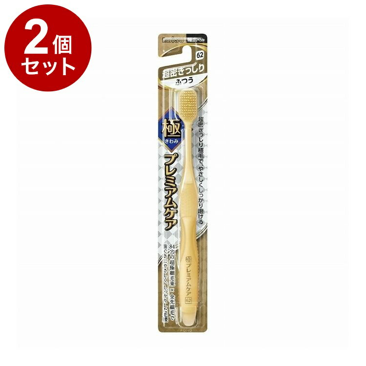 【単品2個セット】 エビス 極プレミアムケア 超密ぎっしり ふつう 1本(4)