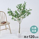 フェイクグリーン オリーブツリー 約120cm 抗菌 消臭 観葉植物 フェイク 光触媒 人工観葉植物 インテリア おしゃれ 鉢 植木 葉 枝 木 室内 玄関 リ...