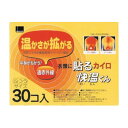 オカモト 貼る快温くんレギュラー30枚 日用品 日用消耗品 雑貨品(代引不可)