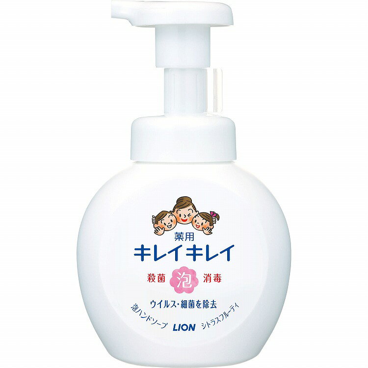 【2個セット】ライオン キレイキレイ 薬用泡ハンドソープ ポンプ250ml(代引不可)