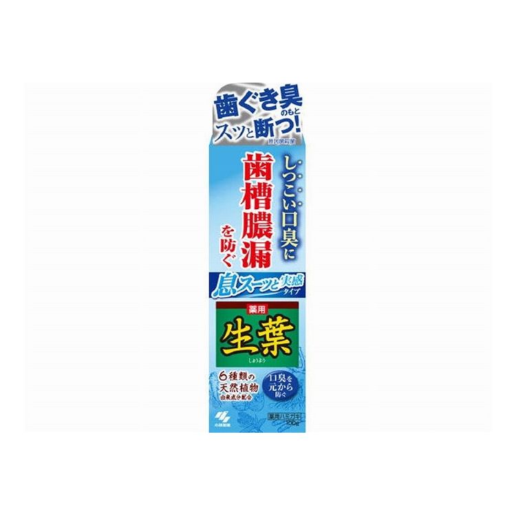 ※こちらの商品は単品商品（JANコード管理)の商品が12個セットでの販売となります。↓↓以下、単品商品説明分↓↓●しつこい口臭と歯槽膿漏を防ぐ●薬用成分ヒノキチオールが歯ぐきに働きかけ歯槽膿漏を防ぐ健康な歯ぐきに！●歯周ポケットに潜む歯ぐき臭の原因菌を殺菌。Wの殺菌成分配合（ヒノキチオール、CPC）●息スーッと実感タイプ●6種類の天然植物由来成分配合●清涼感ある和漢ハーブの香味■商品区分 医薬部外品■製造国 日本■サイズ/容量 100G■メーカー名 小林製薬株式会社※メーカーの都合により予告なくパッケージ、仕様等が変更になる場合がございます。※アソート品のカラーはランダムでのお届けとなります。※当店はJANコード（商品コード）にて商品管理を行っている為、上記に伴う返品、交換等は受け付けておりませんで予めご了承の上お買い求めください。【代引きについて】こちらの商品は、代引きでの出荷は受け付けておりません。【送料について】北海道、沖縄、離島は送料を頂きます。
