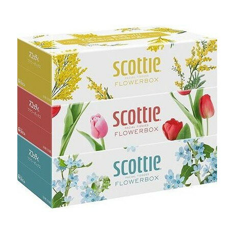 【単品4個セット】 SCT ティシュー フラワーボックス 250組 3箱パック 日本製紙クレシア(代引不可)【送料無料】