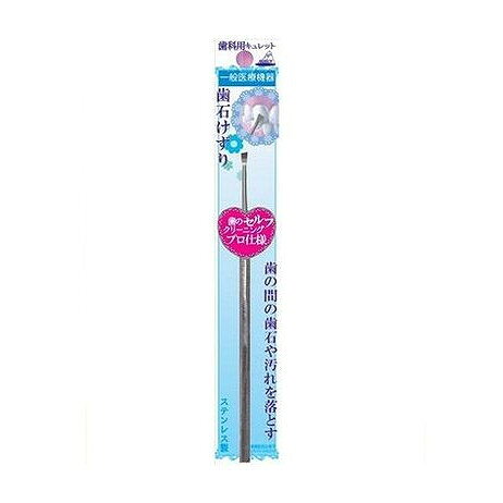 【単品6個セット】 歯石けずり OL-010 アヌシ(代引不可)【メール便配送】【送料無料】