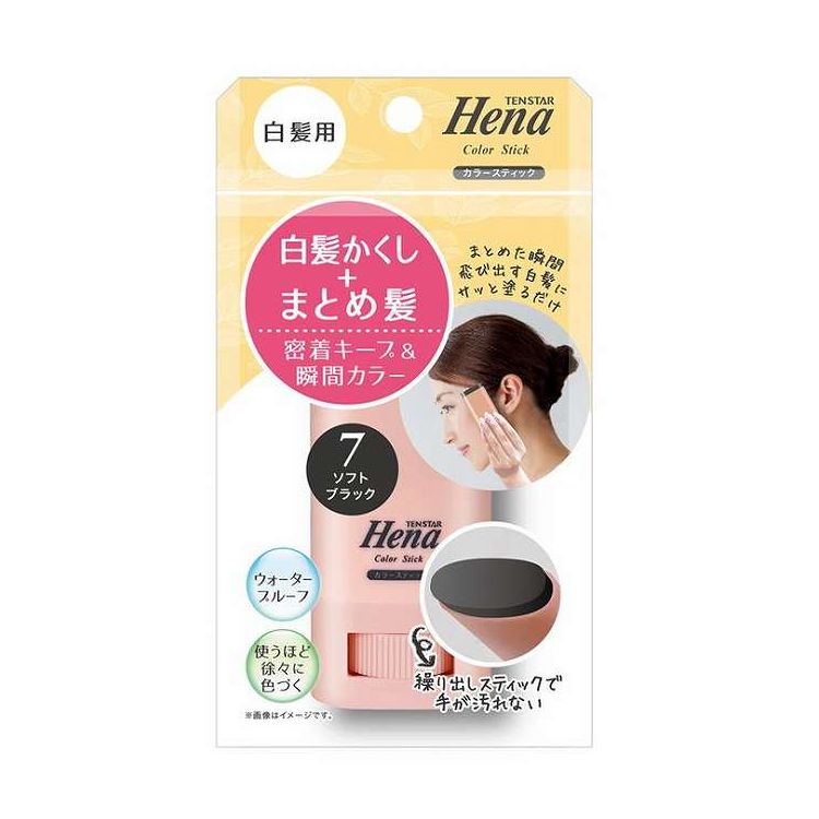 【単品9個セット】 テンスター 白髪用カラースティック SBK 三宝(代引不可)【送料無料】