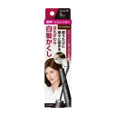 【単品5個セット】ダリヤ サロンドプロカラーオンリタッチ白髪かくし ダークブラウン 15ML 医薬部外品(代引不可)【メール便(ゆうパケット)】【送料無料】